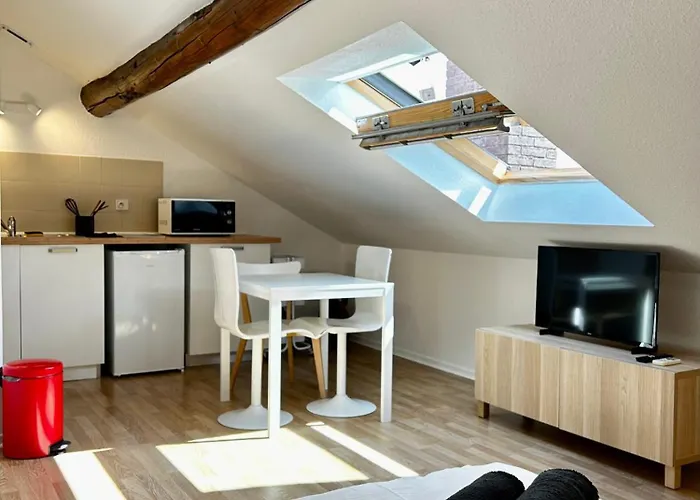 Appartement Studio, Le Petit Mika Avec Stationnement Gratuit Vandoeuvre-lès-Nancy